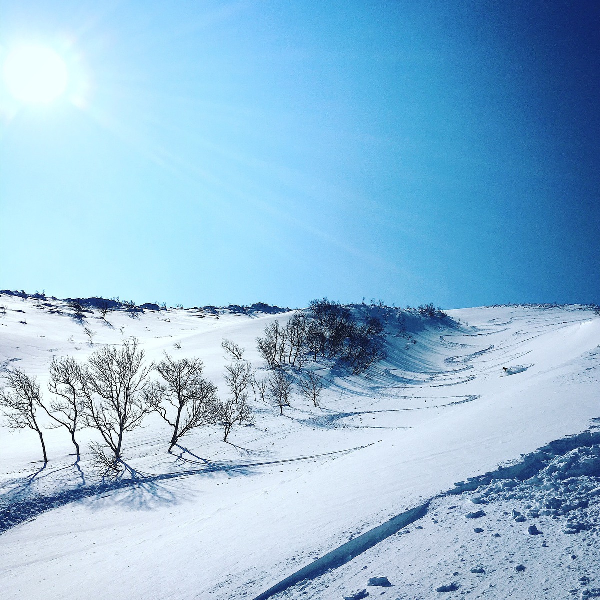Powder Companyのガイド達も使用する事が多いニセコ羊蹄山 Powder Company Guides